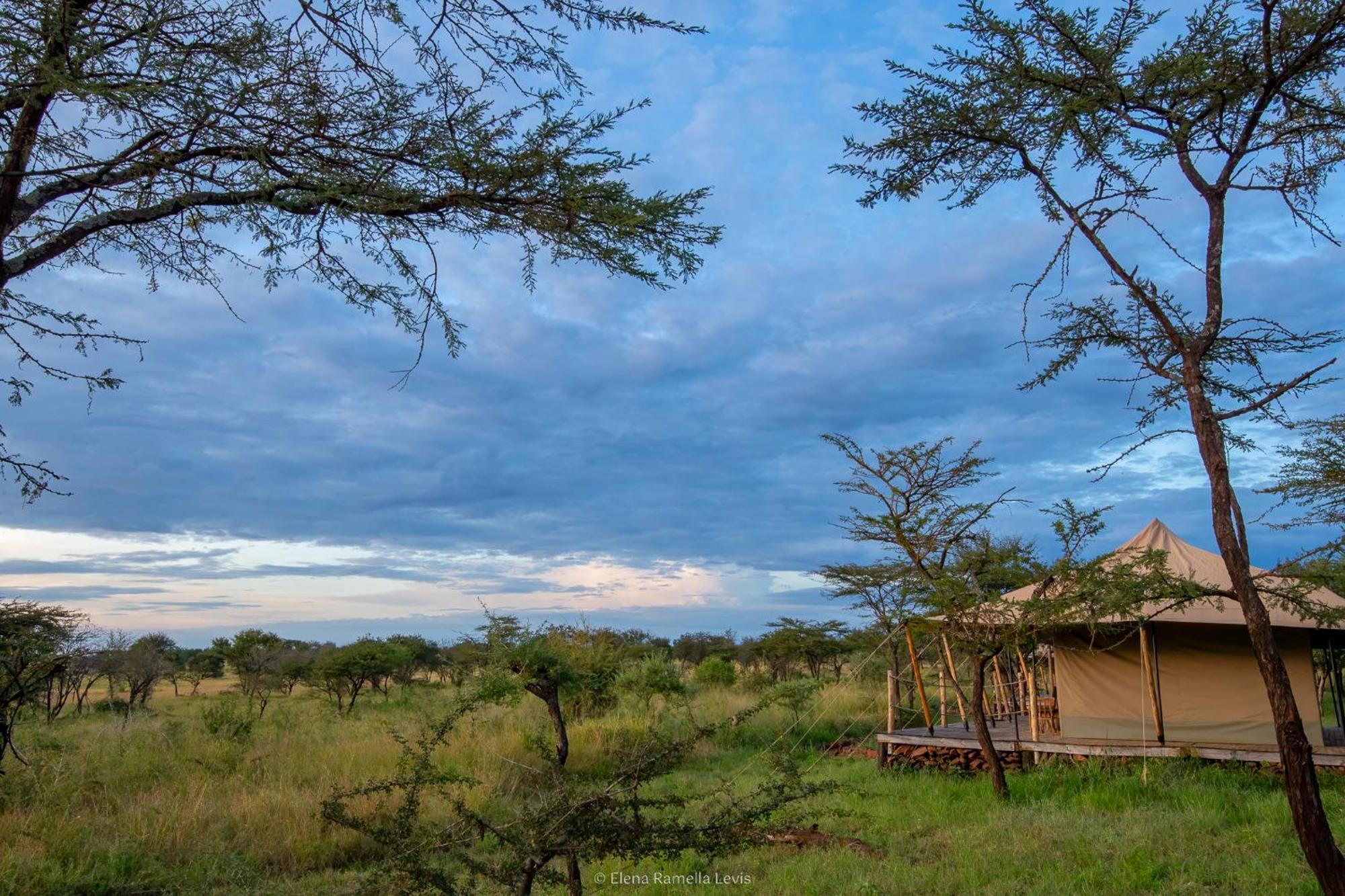 Serengeti Kifaru Tented Lodge Mugumu Exterior foto